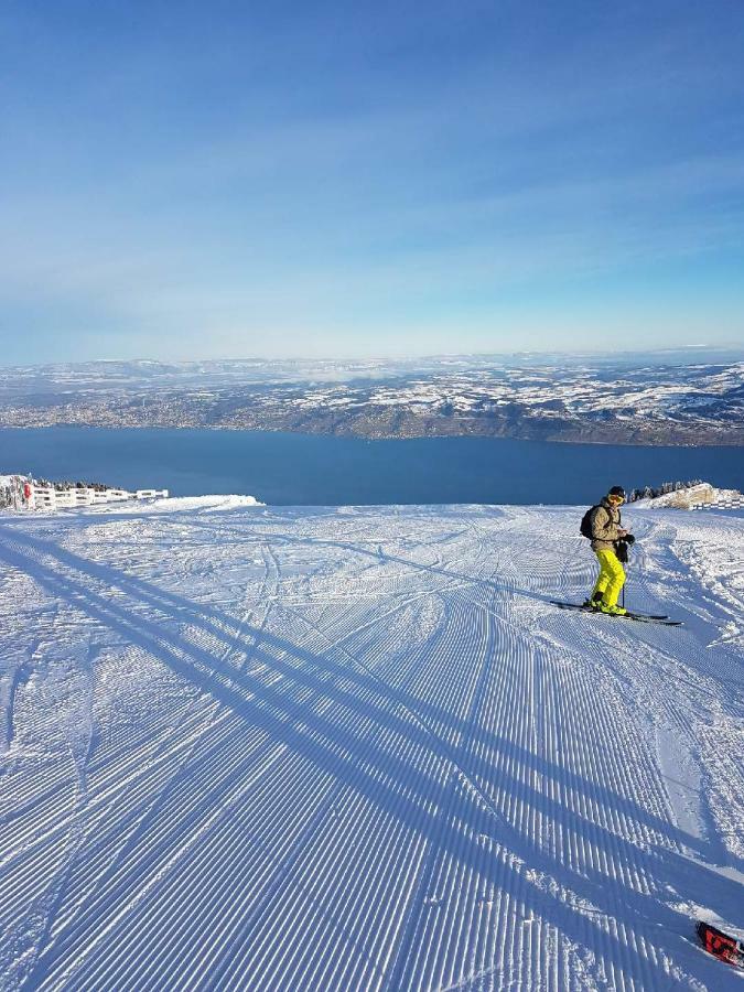 Chalet Le Telemark Thollon-les-Memises Luaran gambar