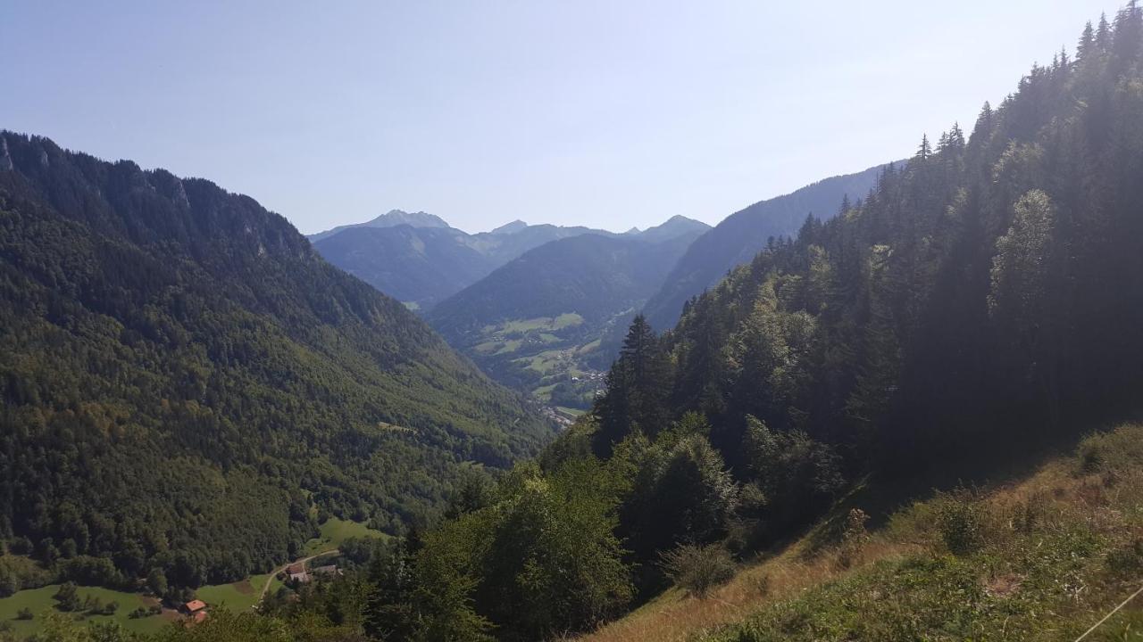 Chalet Le Telemark Thollon-les-Memises Luaran gambar